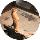 ホワゴ profile picture