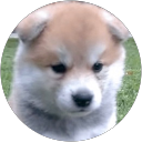 mikitae profile picture