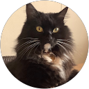 たまちゃん“黒猫好き” profile picture