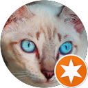 アインミン profile picture