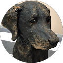 M KY profile picture