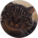 102 TKG profile picture