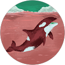 ますだかずあき profile picture