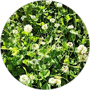 aco profile picture