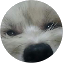 ミケミケ profile picture