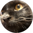 いっくん profile picture
