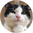 しょう profile picture