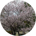 矢口孝則 profile picture