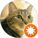 Tadashi Murakami profile picture