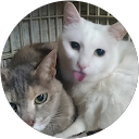もも profile picture