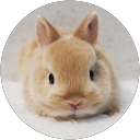 eiko profile picture
