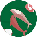 K子 profile picture