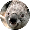 Googleアカウント profile picture