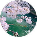かな profile picture