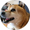 とらちゃん profile picture