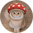 あっちゃん profile picture
