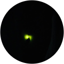 balla mirrer profile picture