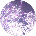 kimenameko t profile picture