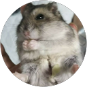 ひまわり 道幸 profile picture