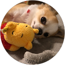 ユスラ profile picture