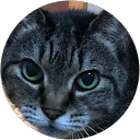 369 profile picture