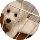廣森大輝 profile picture