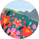 N K profile picture