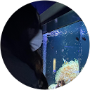 み profile picture