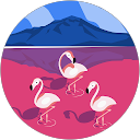 あさがお profile picture