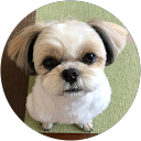 etuco-g profile picture