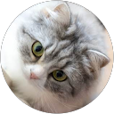 T M profile picture