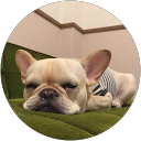 すずきたかまさ profile picture