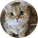はる profile picture
