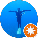 豊洲太郎 profile picture