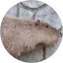 まめまめ profile picture