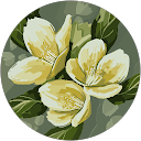 おじぎ profile picture