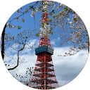 きらら profile picture