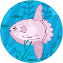 もちむぎ profile picture