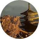 かんちゃk profile picture