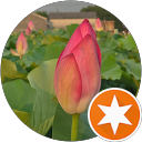 【LOTUS-SETTE】 profile picture