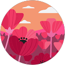 nr profile picture