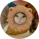 fuku profile picture
