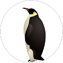 soyogo profile picture