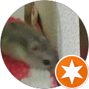 TOMO MO profile picture