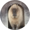 t k profile picture