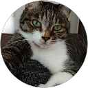 文美代 profile picture