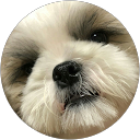 おれさま profile picture