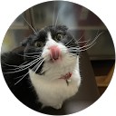 アスパラガス。 profile picture