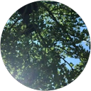 c a profile picture