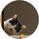 いしやま（いしやん） profile picture